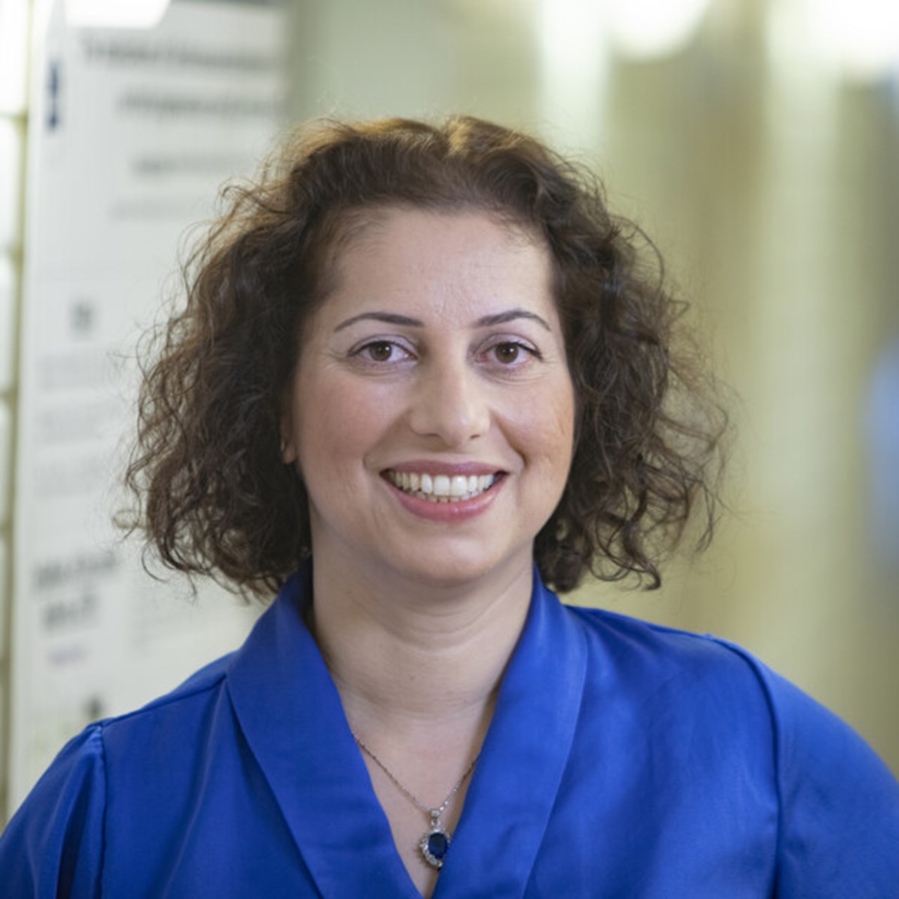 Nasim Sabouri